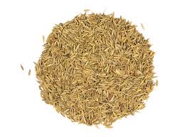 green_cardamom
